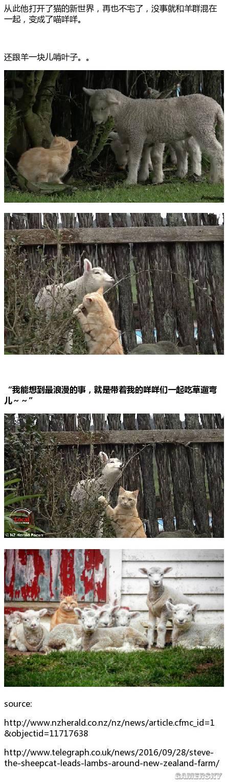 逗游網(wǎng)