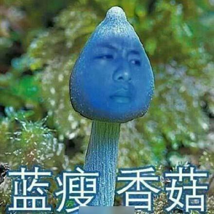 圖片二.jpg