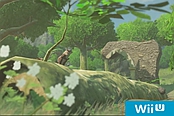 WiiU《塞尔达传说：荒野之息》需要3GB安装空间