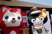 猫站长小玉生日会在日举行，宣布阿狸和小玉合作