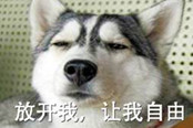 来自灵魂的呐喊！你知道 “放开我，让我自由！”是什么梗吗？