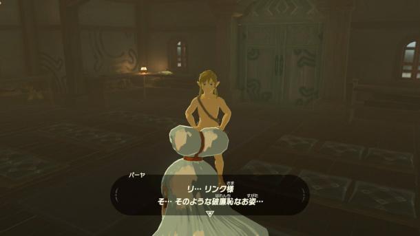 《塞爾達傳說》林克“全裸照”放出 角度非常好