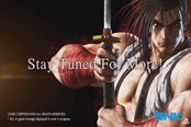 3D版《侍魂》新作公布 2019年发售打击感出色