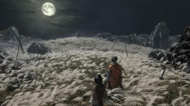 《只狼》中主角可以说话 FromSoftware魂类游戏首次