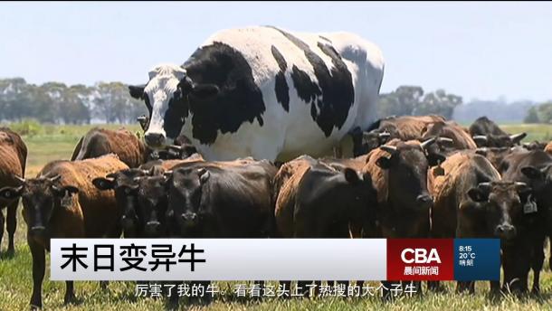 彼得·斯特曼替你上班 ！《黑色行動4》全新趣味宣傳片