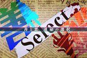 捍卫正义或手沾污血《杀人侦探》预告片