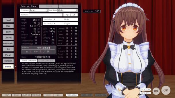 等一个创意工坊 绅士游戏《3D定制女仆2》7月5日上架Steam