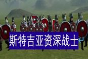 騎馬與砍殺2斯特吉亞資深戰(zhàn)士詳解