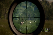 猎人荒野的召唤步枪速杀指南 猎物射击部位汇总