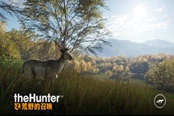 獵人荒野的呼喚武器解鎖方式一覽