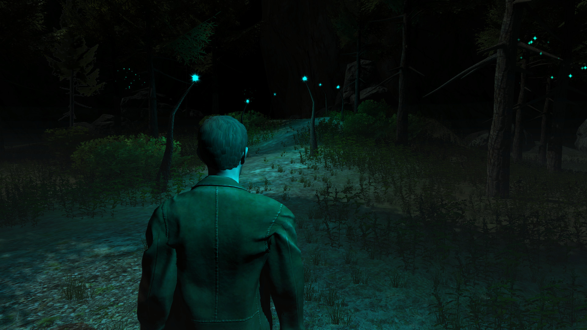 The Evil in the Forest图片