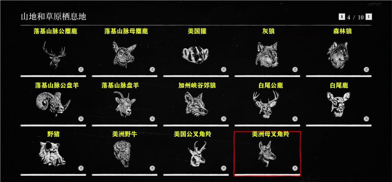 荒野大镖客2 动物图鉴图片