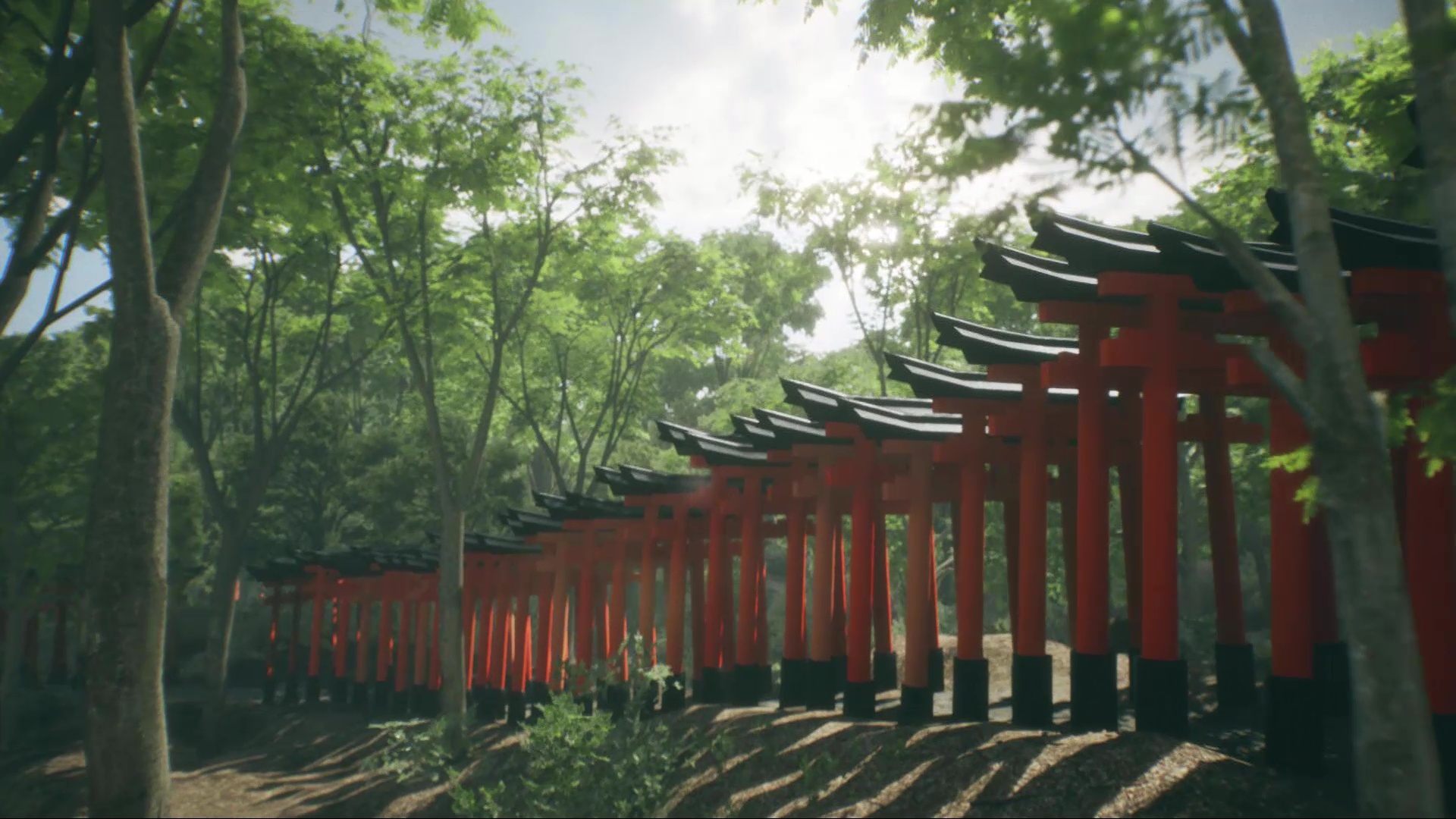 Explore Fushimi Inari图片