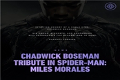 《漫威蜘蛛侠：迈尔斯·莫拉莱斯》彩蛋悼念黑豹