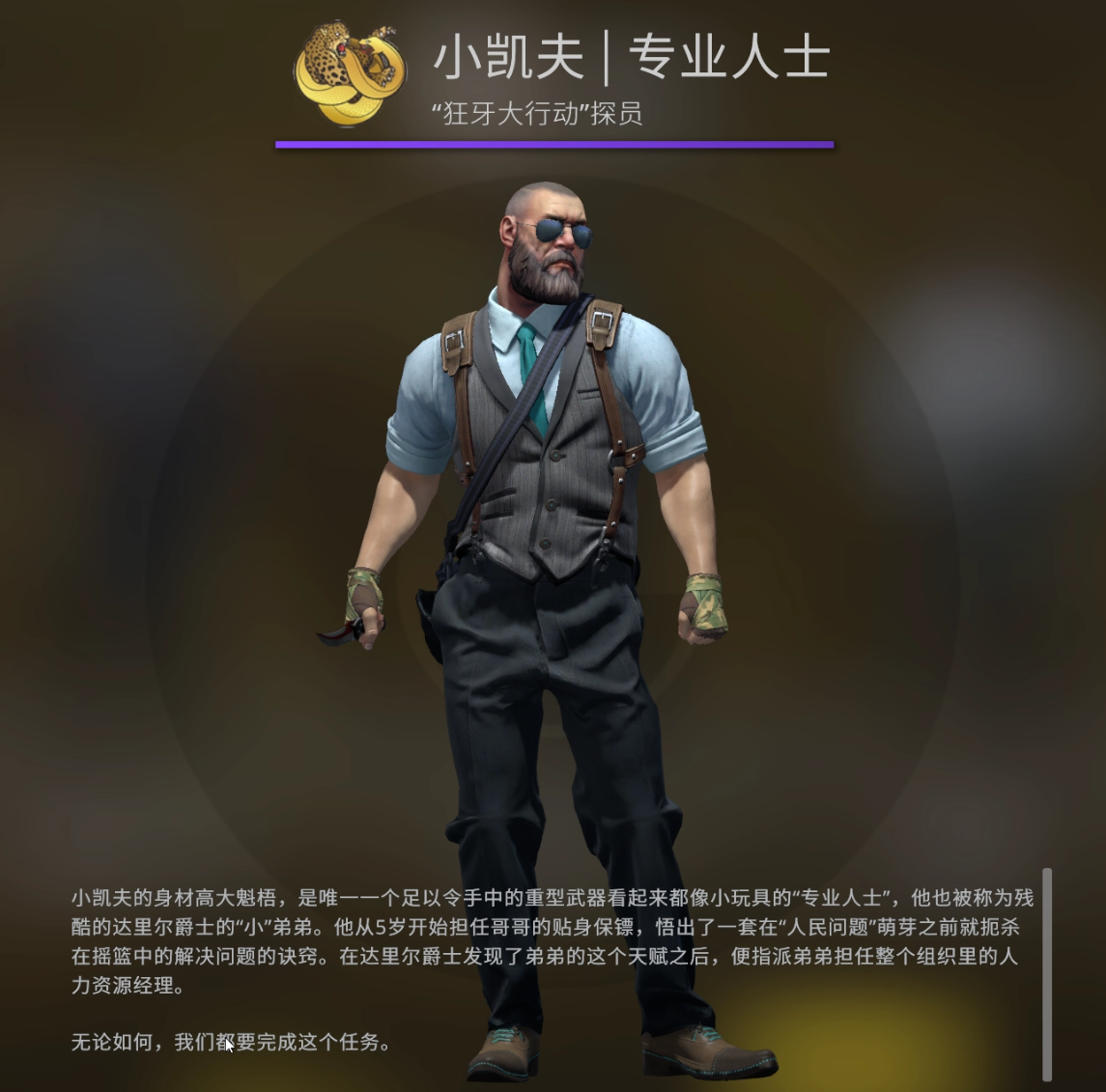 csgo老k探员图片图片