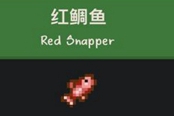 星露谷物语红鲷鱼获取方法 红鲷鱼怎么钓