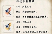 怪物猎人崛起rise全环境生物特性及效果详解