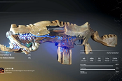先驅(qū)者Outriders傳奇武器大全 傳奇武器屬性圖鑒匯總