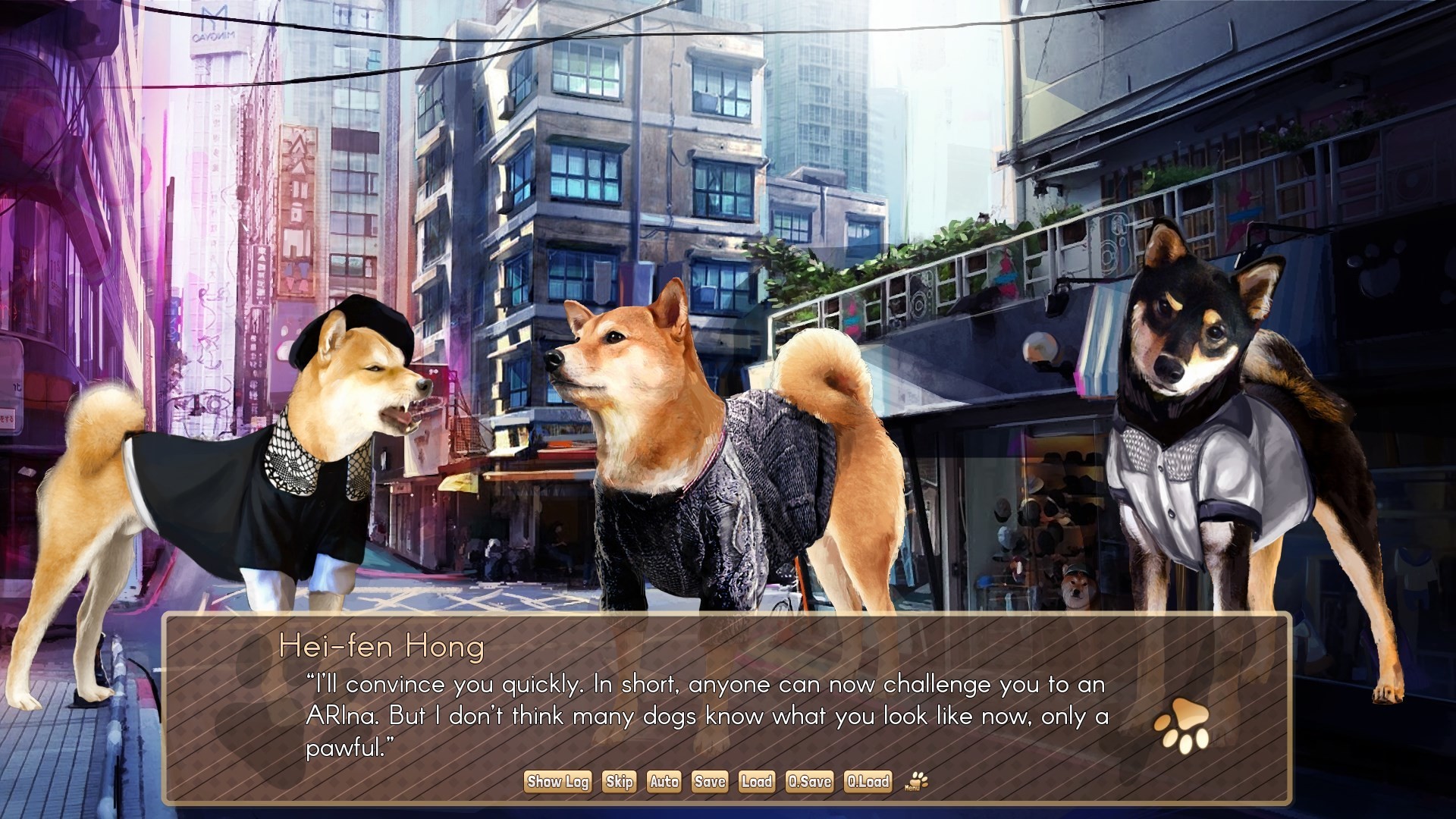 跟柴犬在一起的夏天图片
