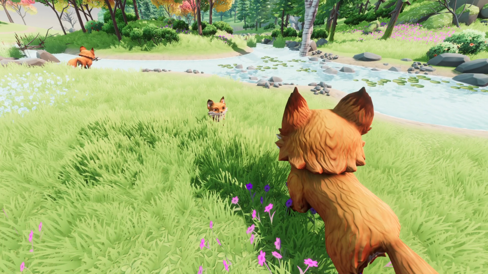 Fox Stories圖片