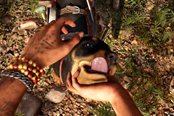 《孤岛惊魂 6》新实机视频 展示了玩家与动物互动场景