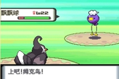 寶可夢晶燦鉆石明亮珍珠飄飄球捕捉方法 飄飄球在哪