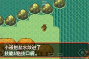 口袋妖怪究極綠寶石5.3鹽水技能獲取方法