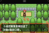 口袋妖怪究極綠寶石5.3青草滑梯獲取方法