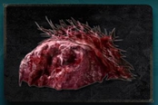 艾爾登法環(huán)野獸肉塊獲取方法介紹