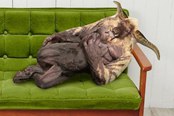 《怪物猎人》推出“激昂金狮子”造型抱枕 售价…