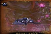 魔兽世界wlk黑锋骑士团声望开启教程 怀旧服黑锋骑士团声望怎么开启
