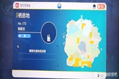 寶可夢朱紫黏黏寶在哪 黏黏寶捕捉地點