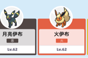 寶可夢朱紫仙后寶可夢陣容一覽 對戰(zhàn)精靈介紹