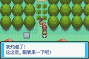口袋妖怪最后的火紅4.03金手指代碼匯總