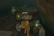 塞爾達傳說王國之淚光照種子獲取及使用方法
