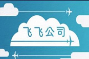 飞飞公司多少钱 steam价格介绍