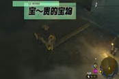 塞爾達(dá)傳說(shuō)王國(guó)之淚寶貴的寶物任務(wù)攻略