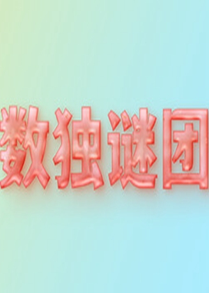 數(shù)獨謎團