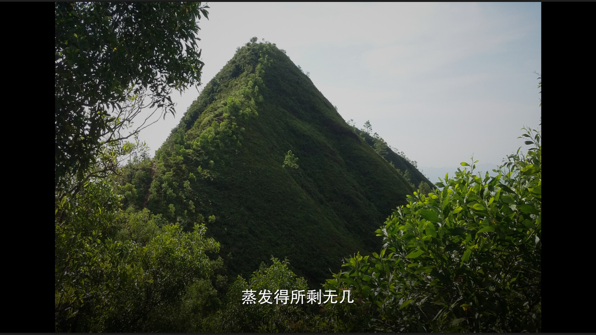 梦于山中图片