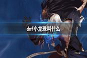 dnf小龍珠叫什么
