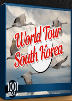 1001拼图：韩国图片