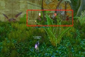 魔兽世界乌龟服祖格蝙蝠捕捉流程攻略