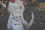怪物猎人荒野机灵的掠夺支援任务攻略