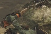 怪物猎人荒野形影不离成就解锁方法