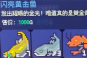 多洛可小镇黄金鱼价值提升方法分享
