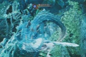 怪物獵人荒野海龍打法攻略介紹說(shuō)明