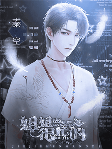 姐姐很忙的安卓版