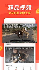 趣看看