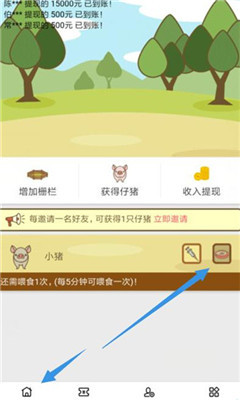 虚拟养猪