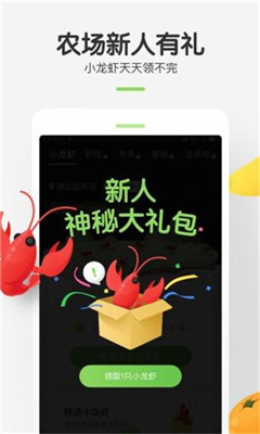 孔雀农场